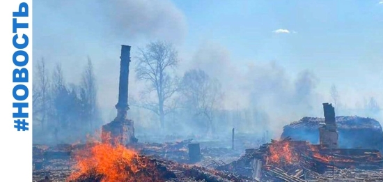 С 3 апреля в регионе введён особый противопожарный режим.